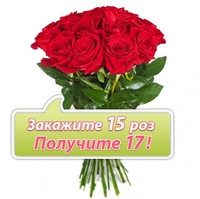 17 красных роз