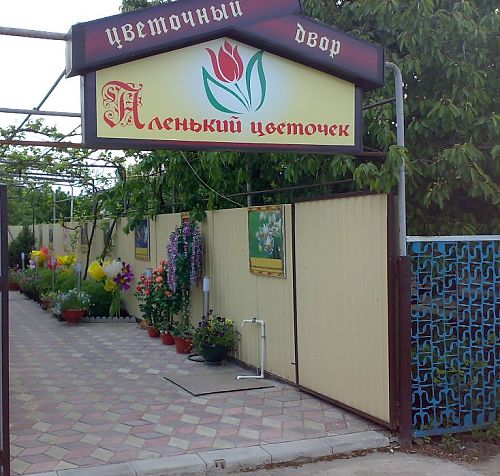 Доставка цветов в Краснодарском крае и Усть-Лабинске